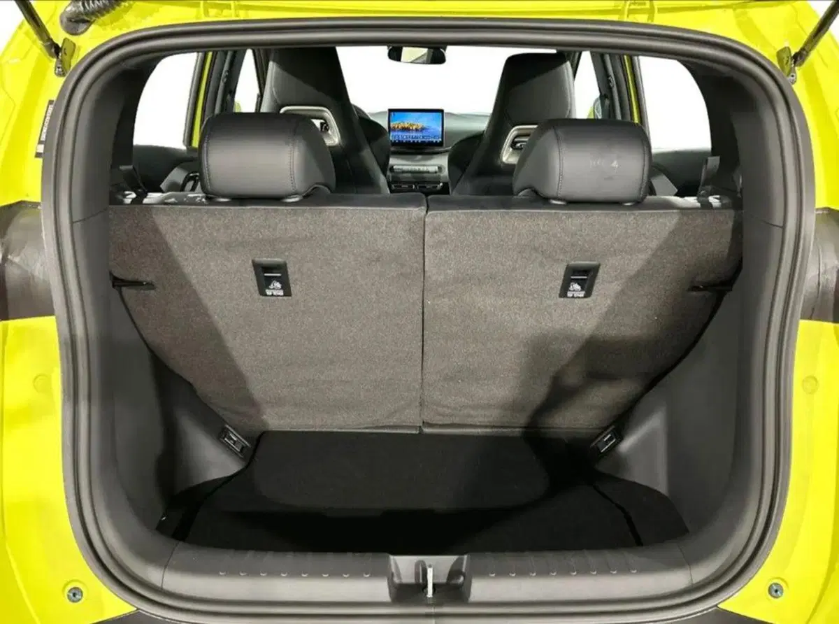 Byd Dolphin Surf usata a Bologna (7)