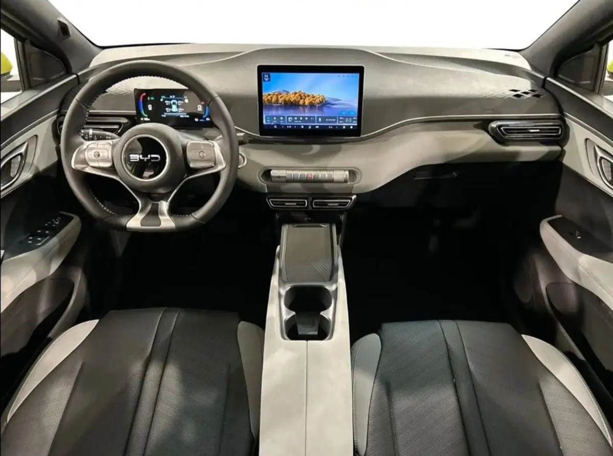 Byd Dolphin Surf usata a Bologna (8)