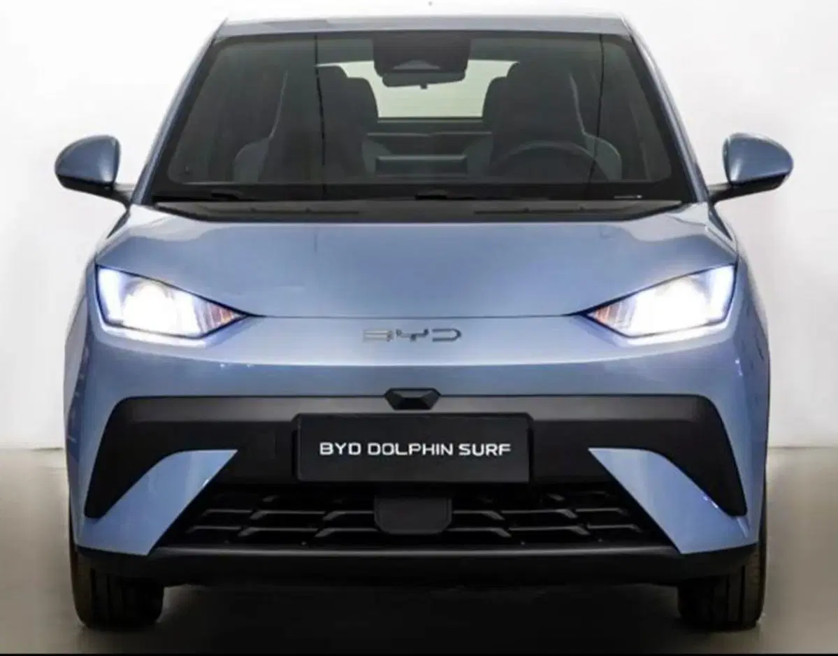Byd Dolphin Surf usata a Bologna (2)