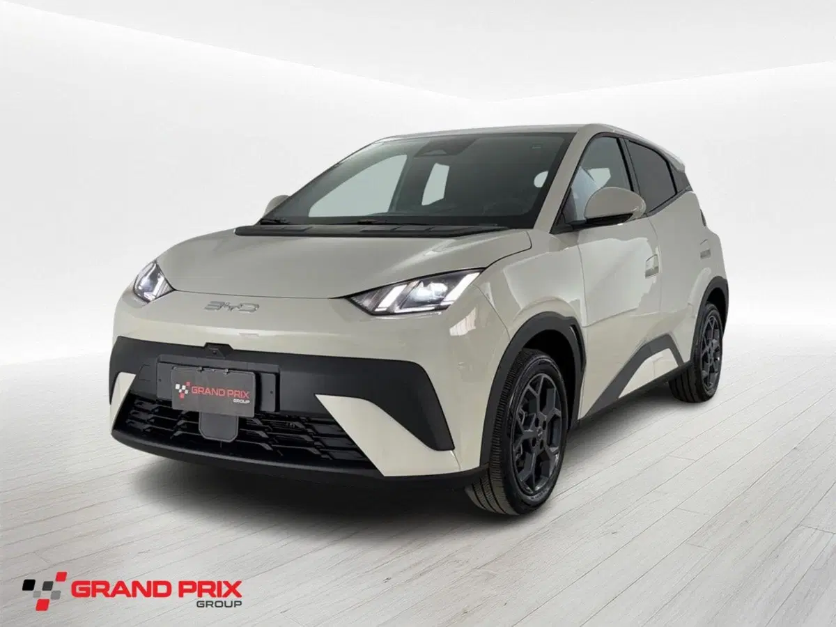 Byd Dolphin Surf usata a Bologna