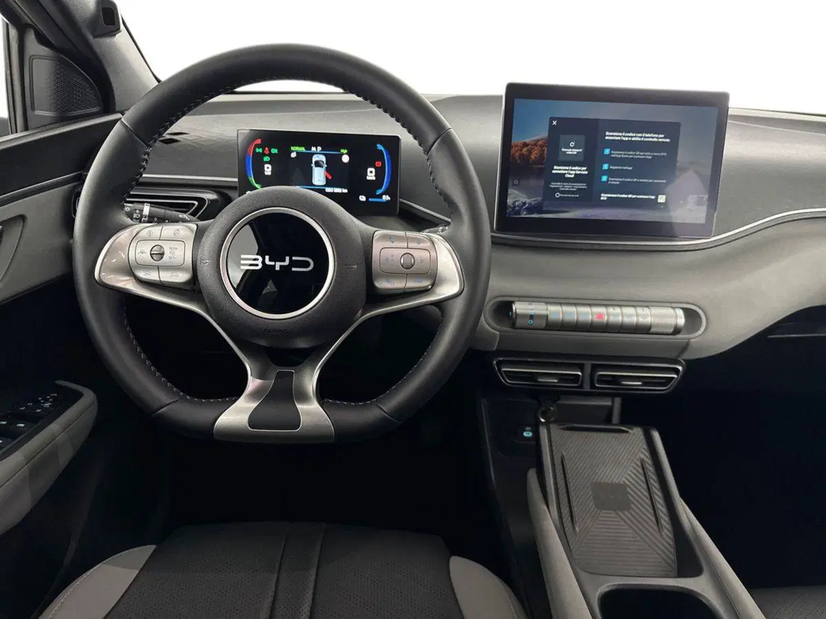 Byd Dolphin Surf usata a Bologna (10)