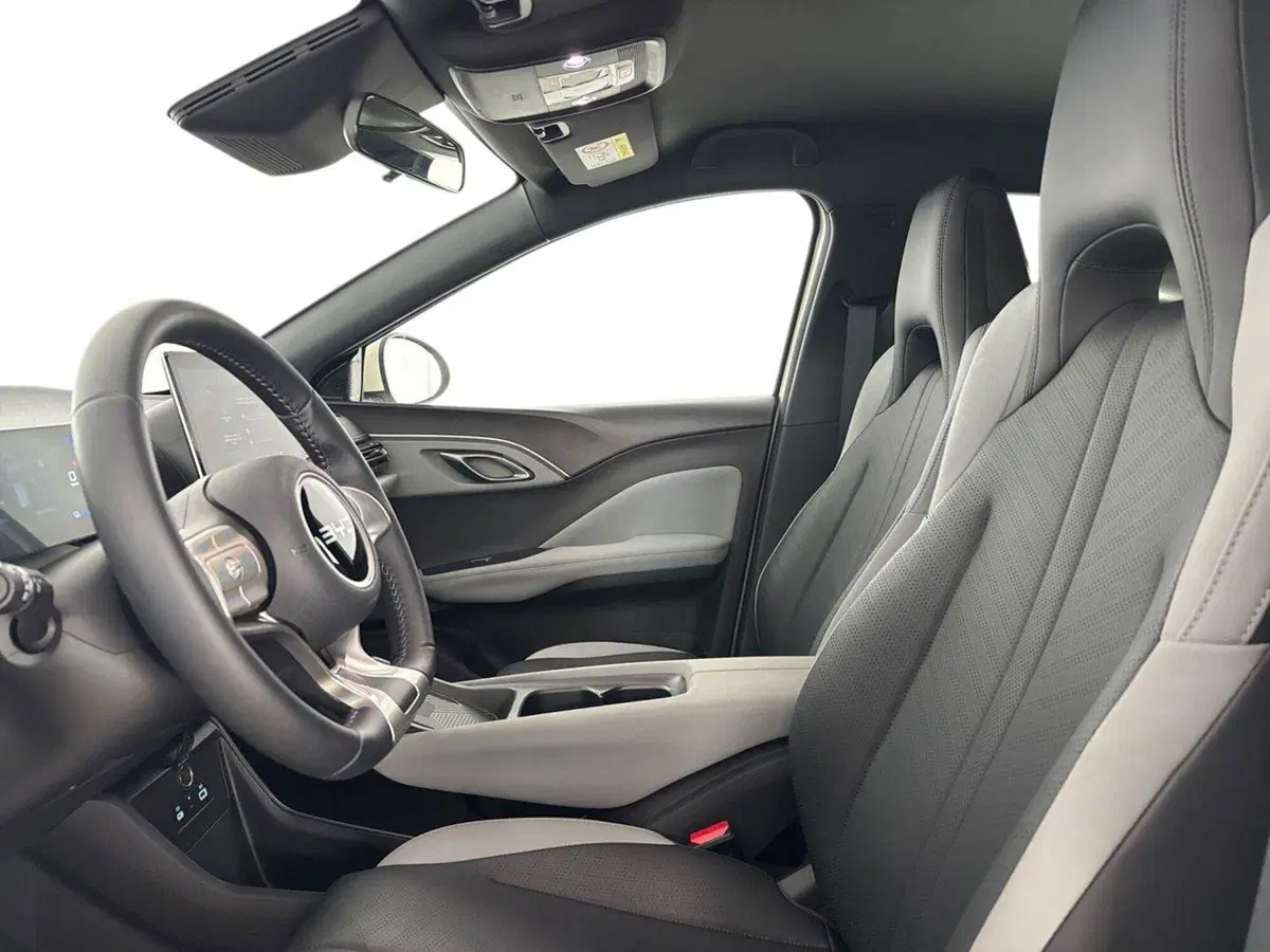 Byd Dolphin Surf usata a Bologna (12)