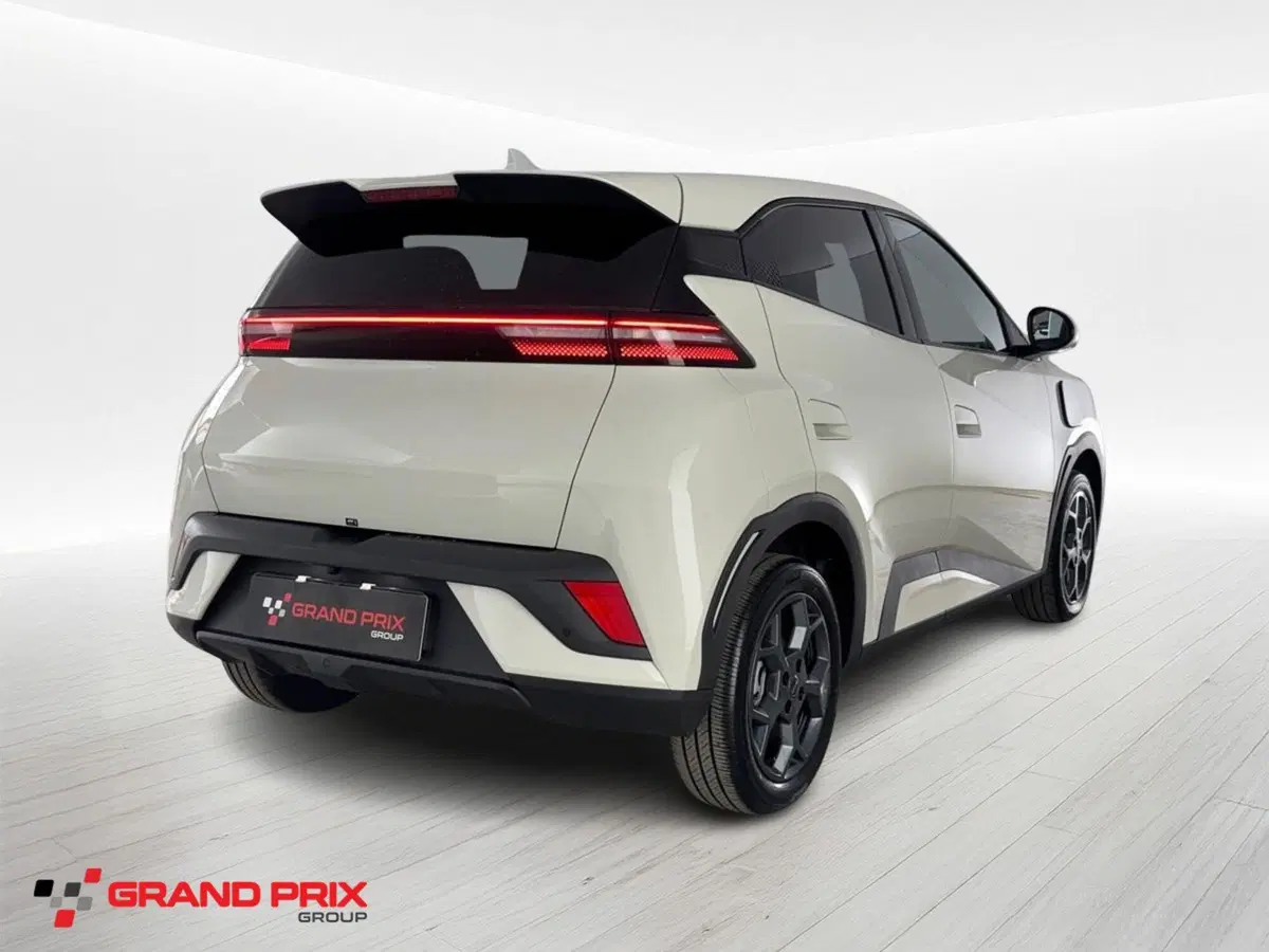 Byd Dolphin Surf usata a Bologna (2)