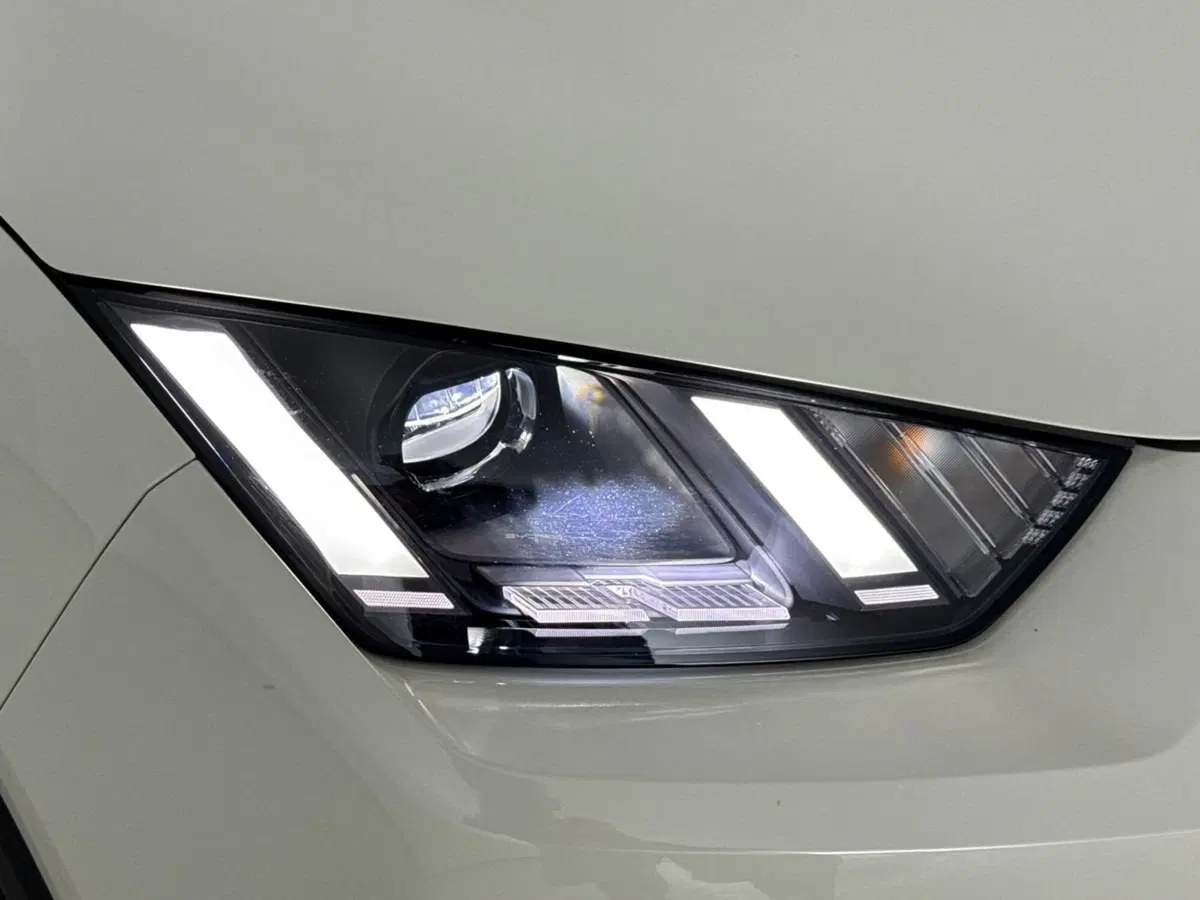 Byd Dolphin Surf usata a Bologna (7)