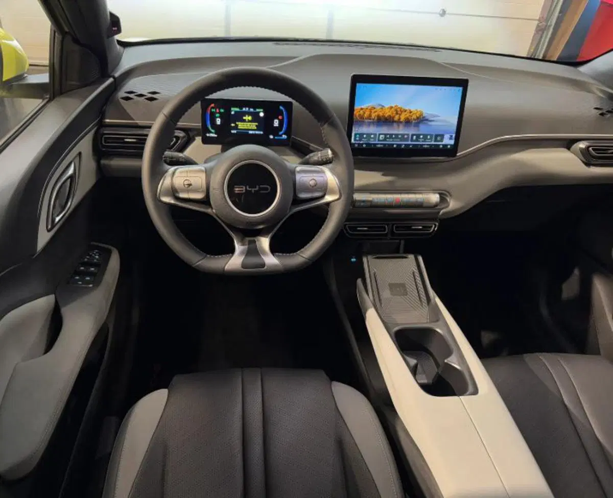 Byd Dolphin Surf usata a Bologna (10)