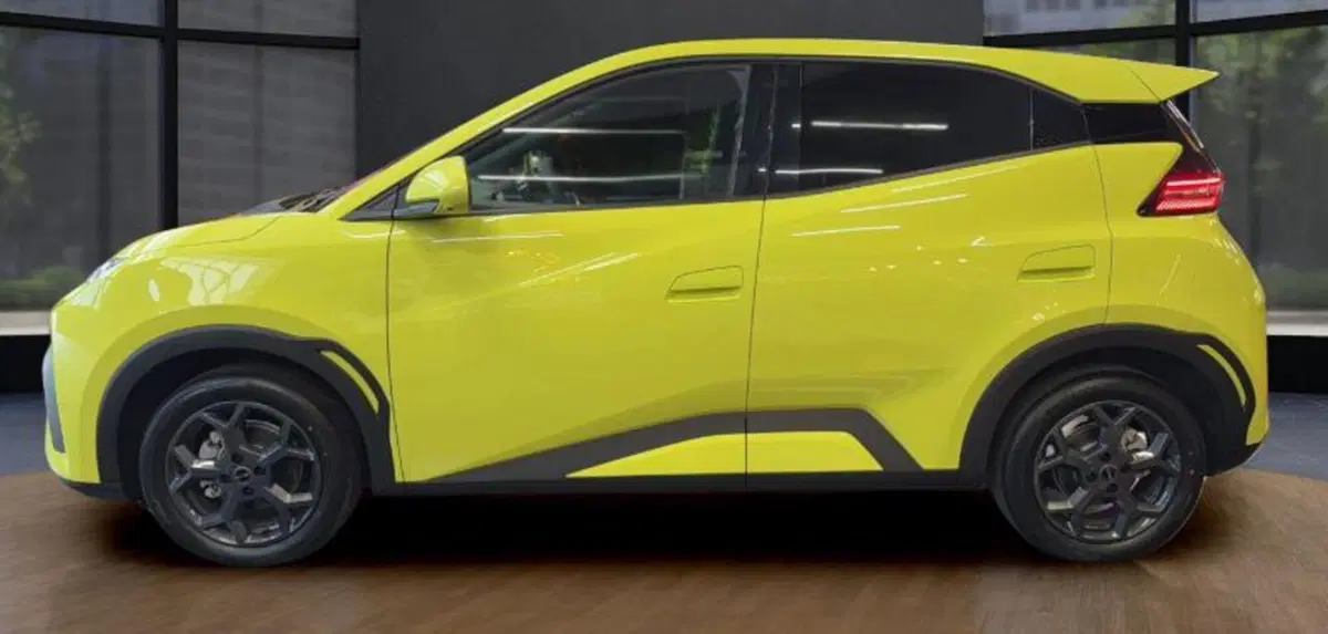 Byd Dolphin Surf usata a Bologna (2)