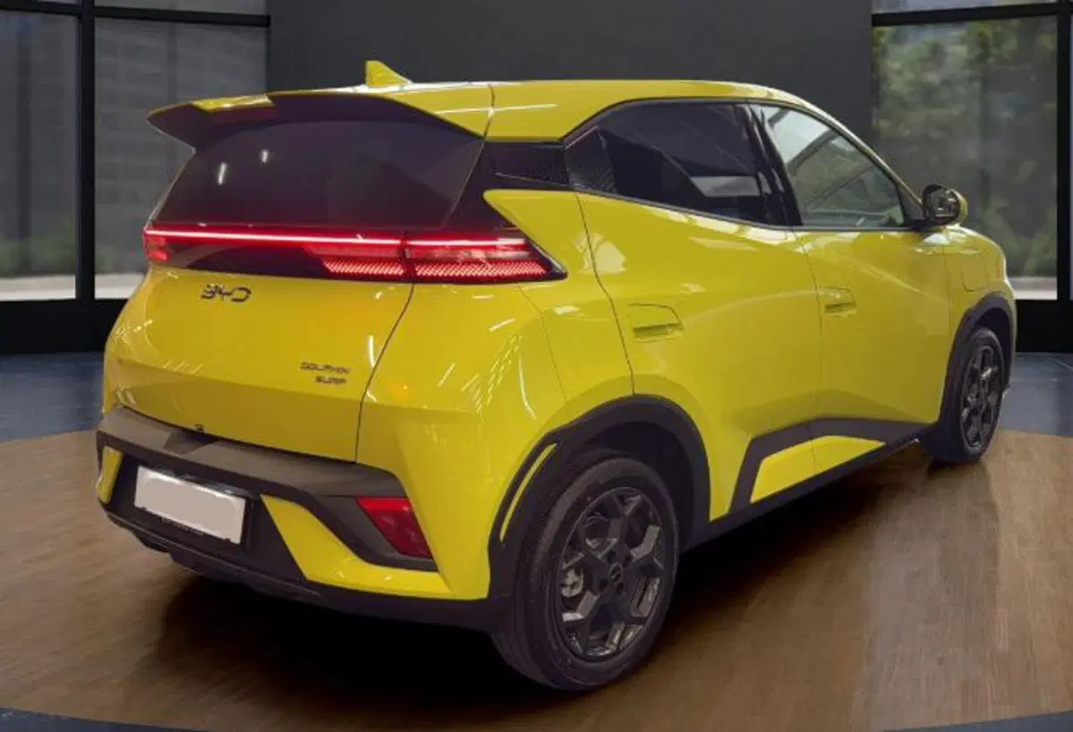 Byd Dolphin Surf usata a Bologna (5)