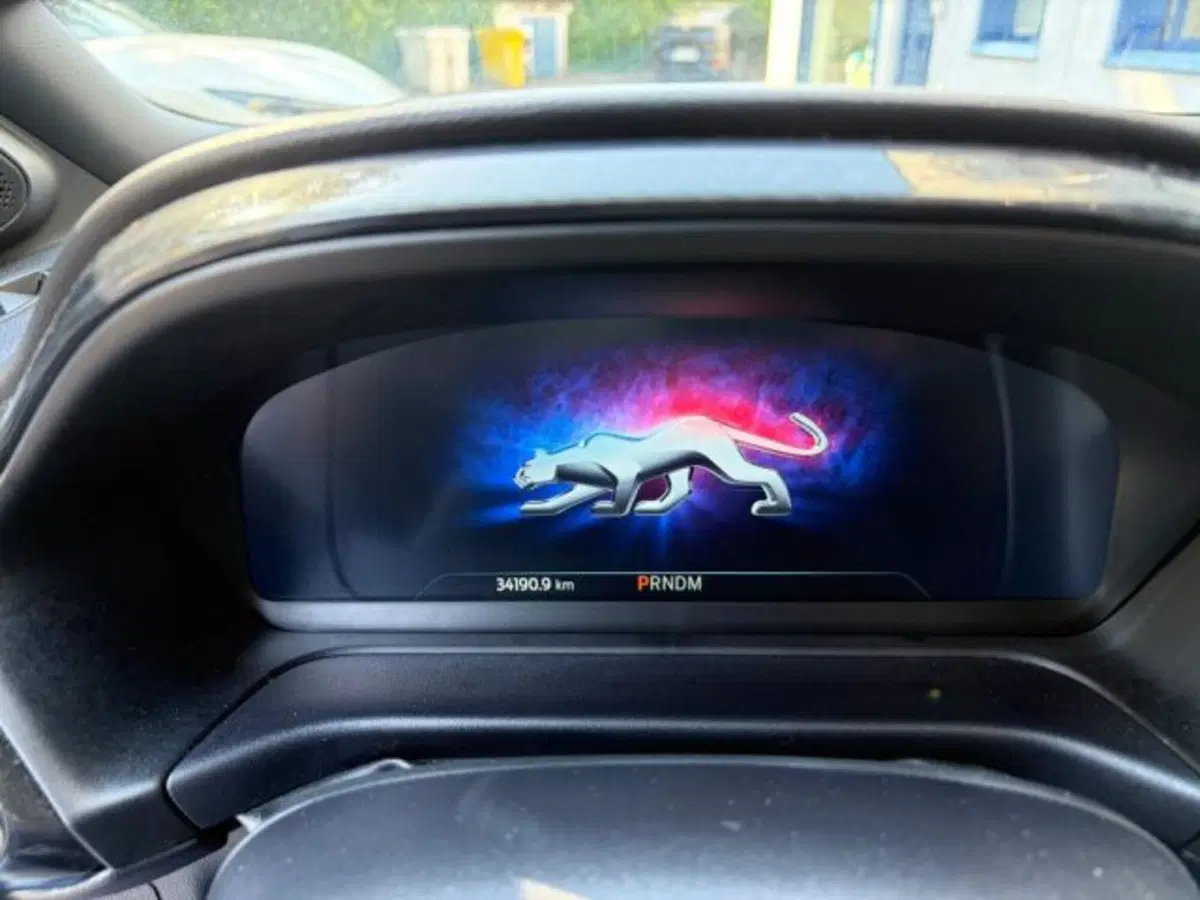 Ford Puma usata a Lodi (11)