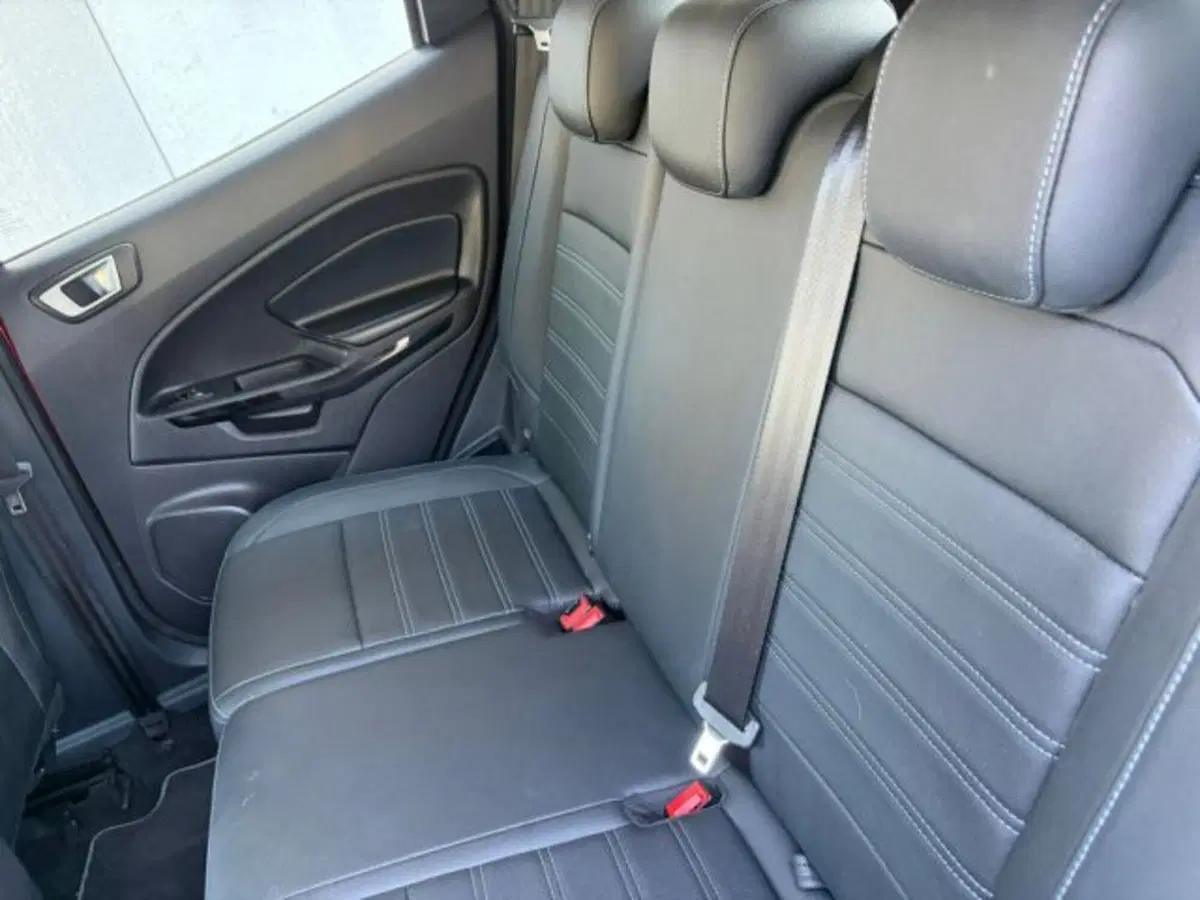 Ford EcoSport usata a Lodi (12)