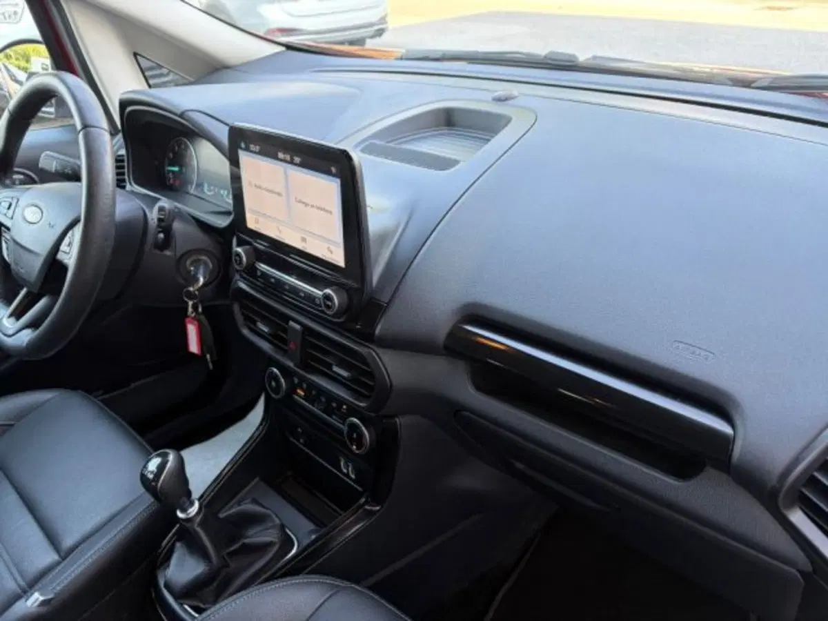 Ford EcoSport usata a Lodi (8)
