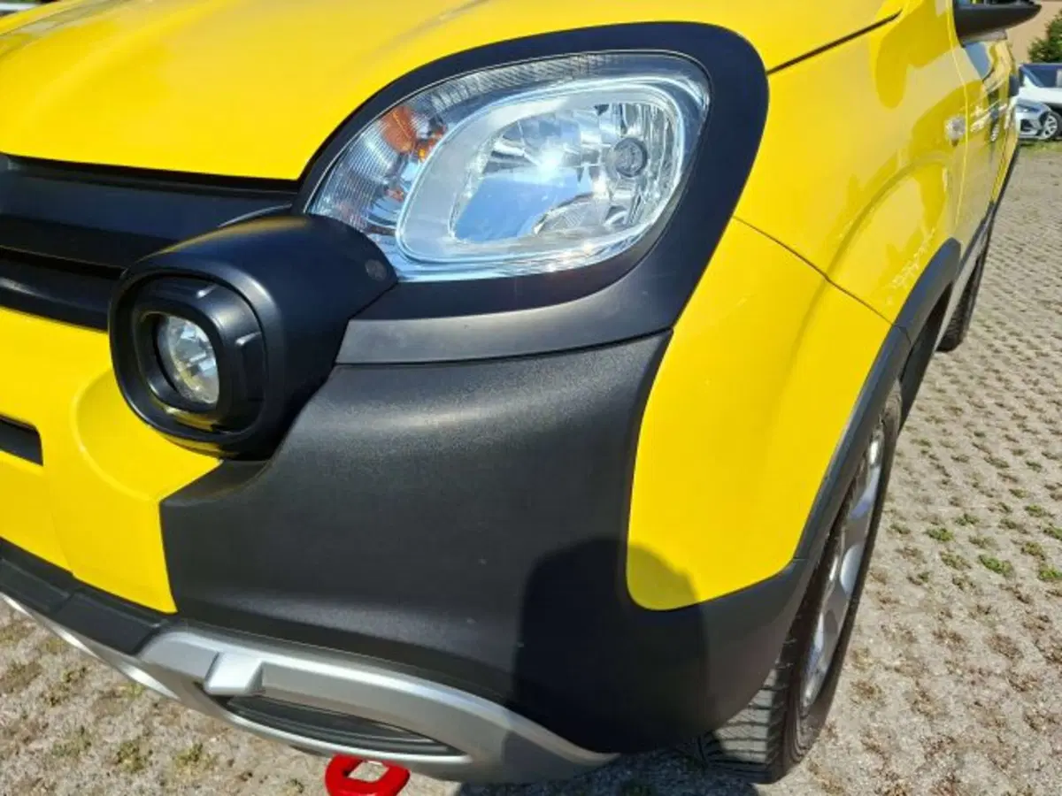 Fiat Panda Cross usata a Como (15)