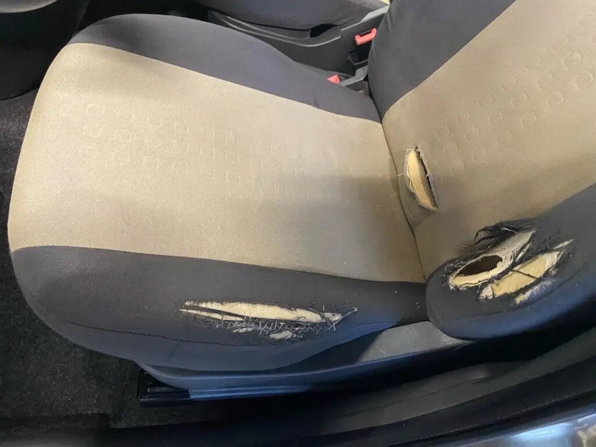 Fiat Panda usata a Torino (12)