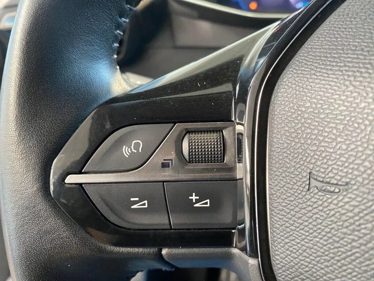 Peugeot 2008 usata a Torino (13)