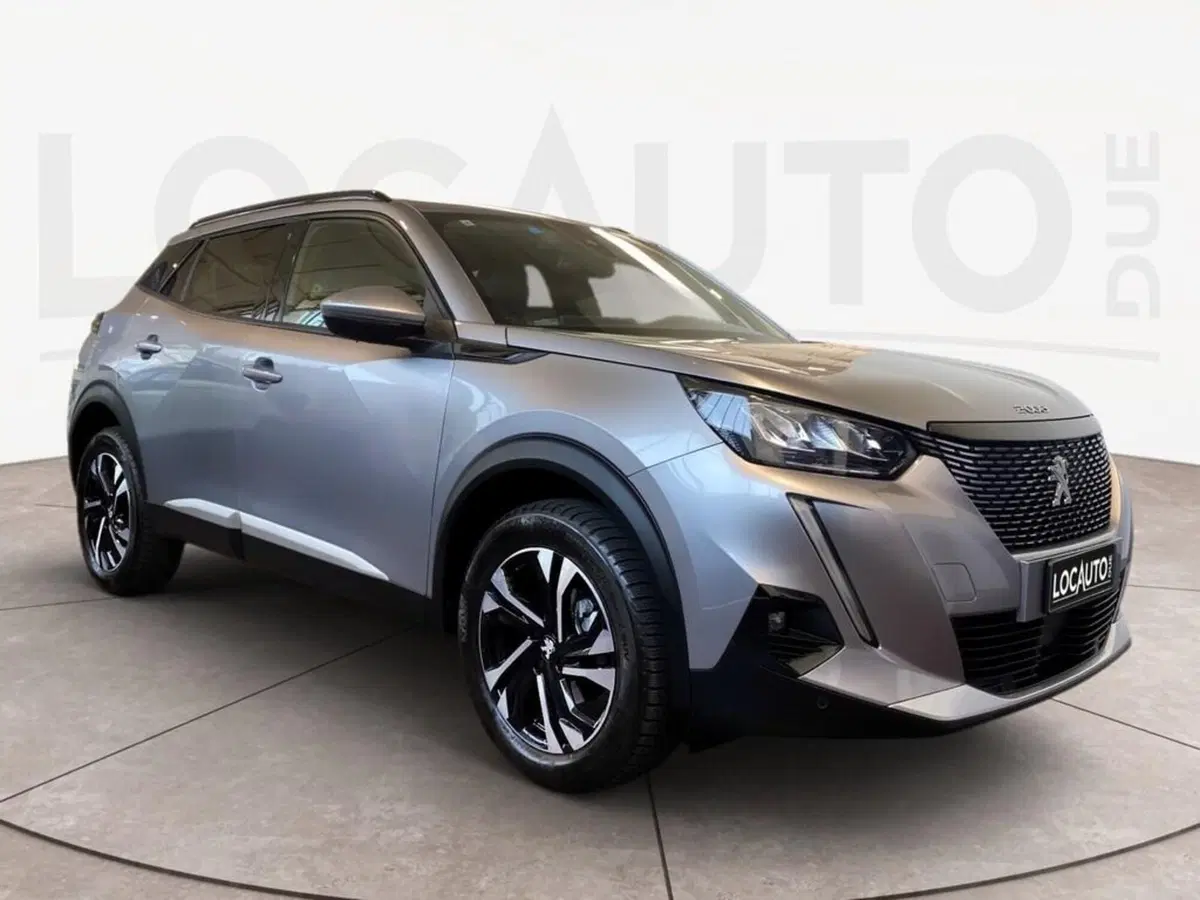 Peugeot 2008 usata a Torino (3)