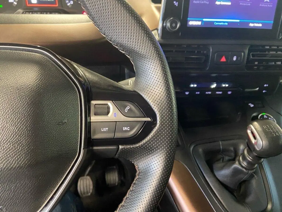 Peugeot Rifter usata a Torino (13)
