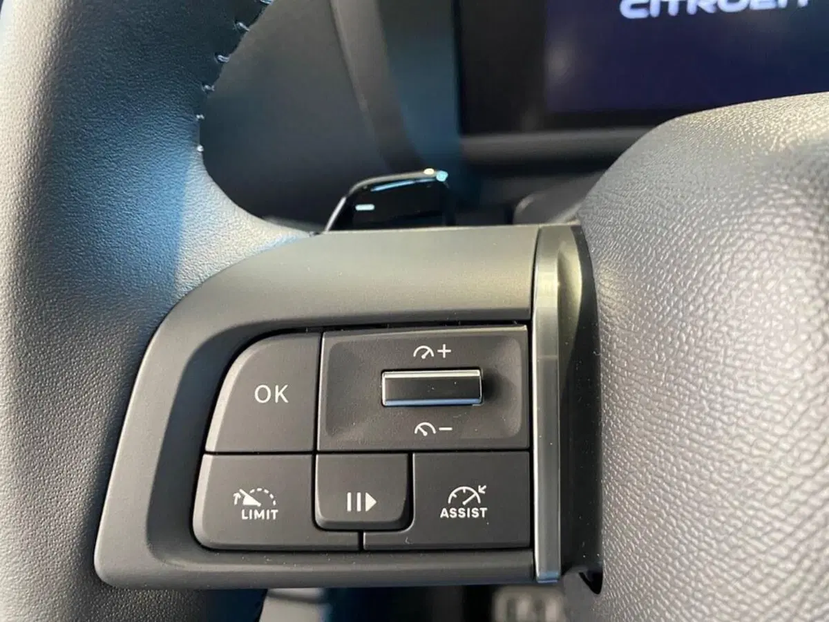 Citroen C4 nuova a Torino (13)