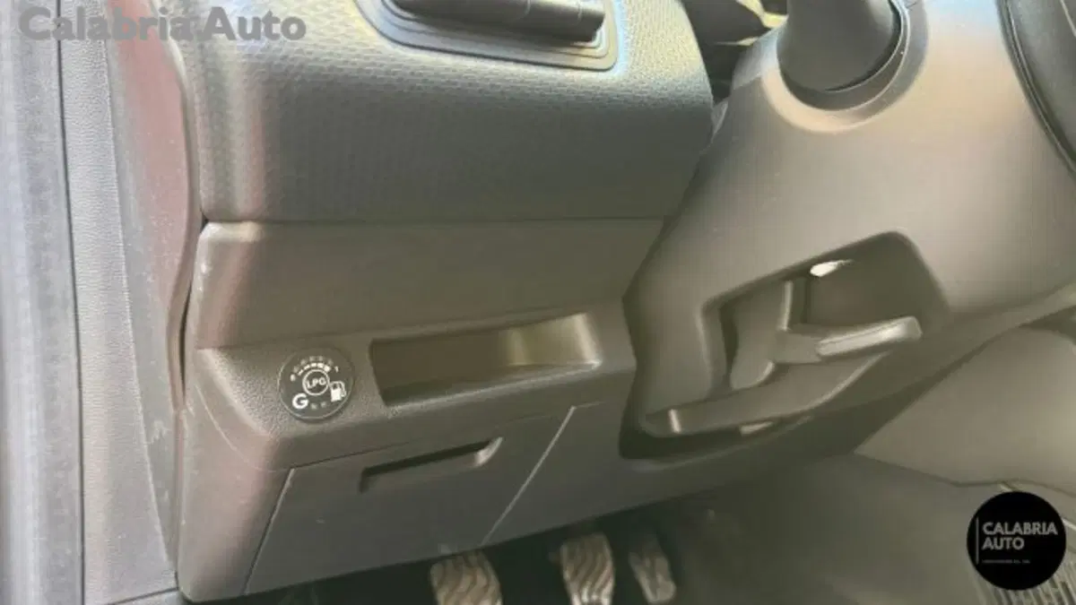Renault Clio usata a Reggio Calabria (17)