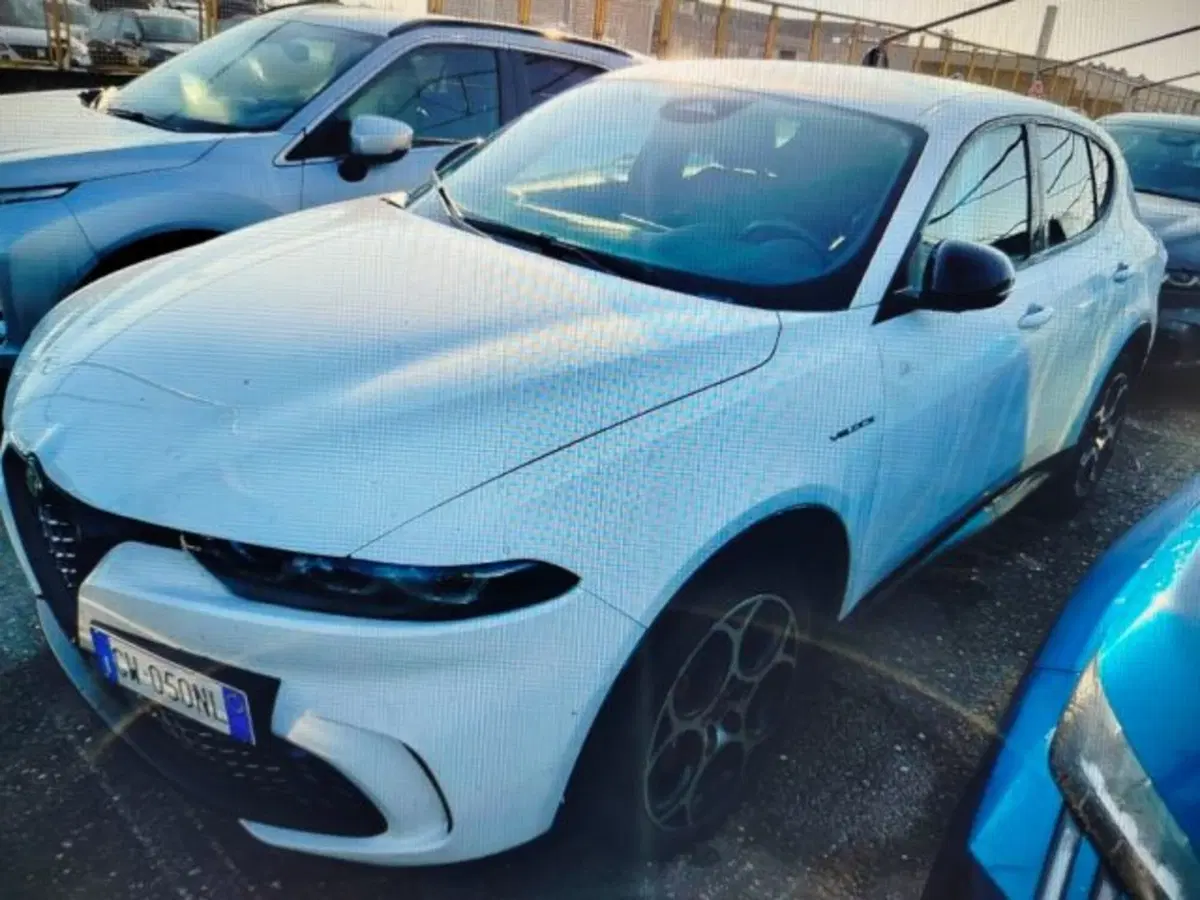 Alfa Romeo Tonale usata a Forlì-Cesena (2)