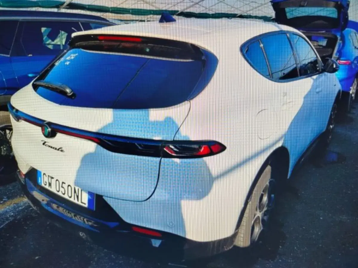 Alfa Romeo Tonale usata a Forlì-Cesena (3)