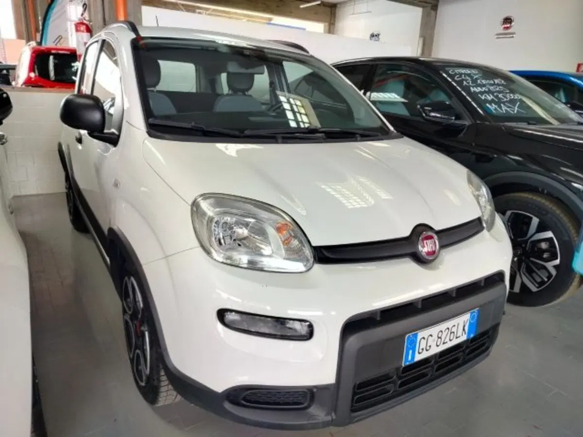 Fiat Panda Cross usata a Forlì-Cesena