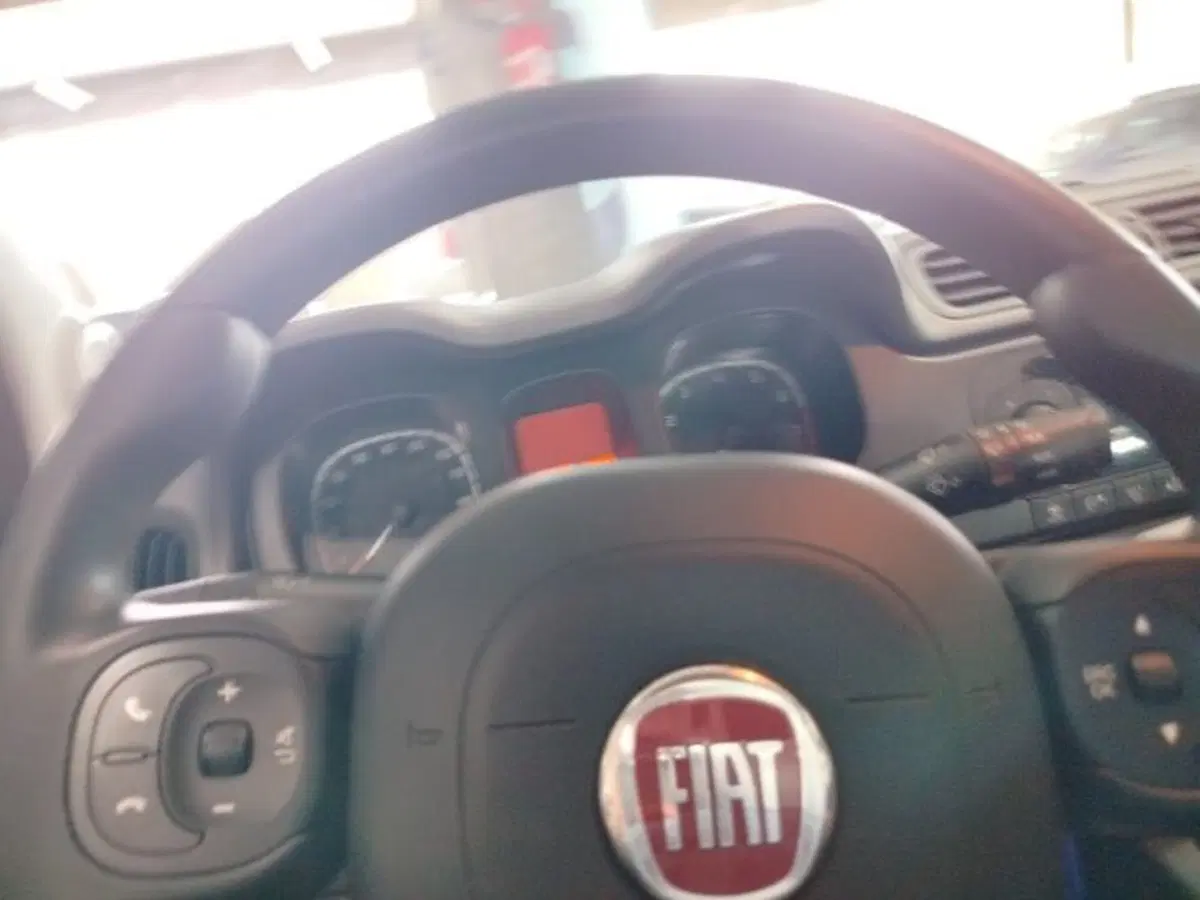 Fiat Panda Cross usata a Forlì-Cesena (16)