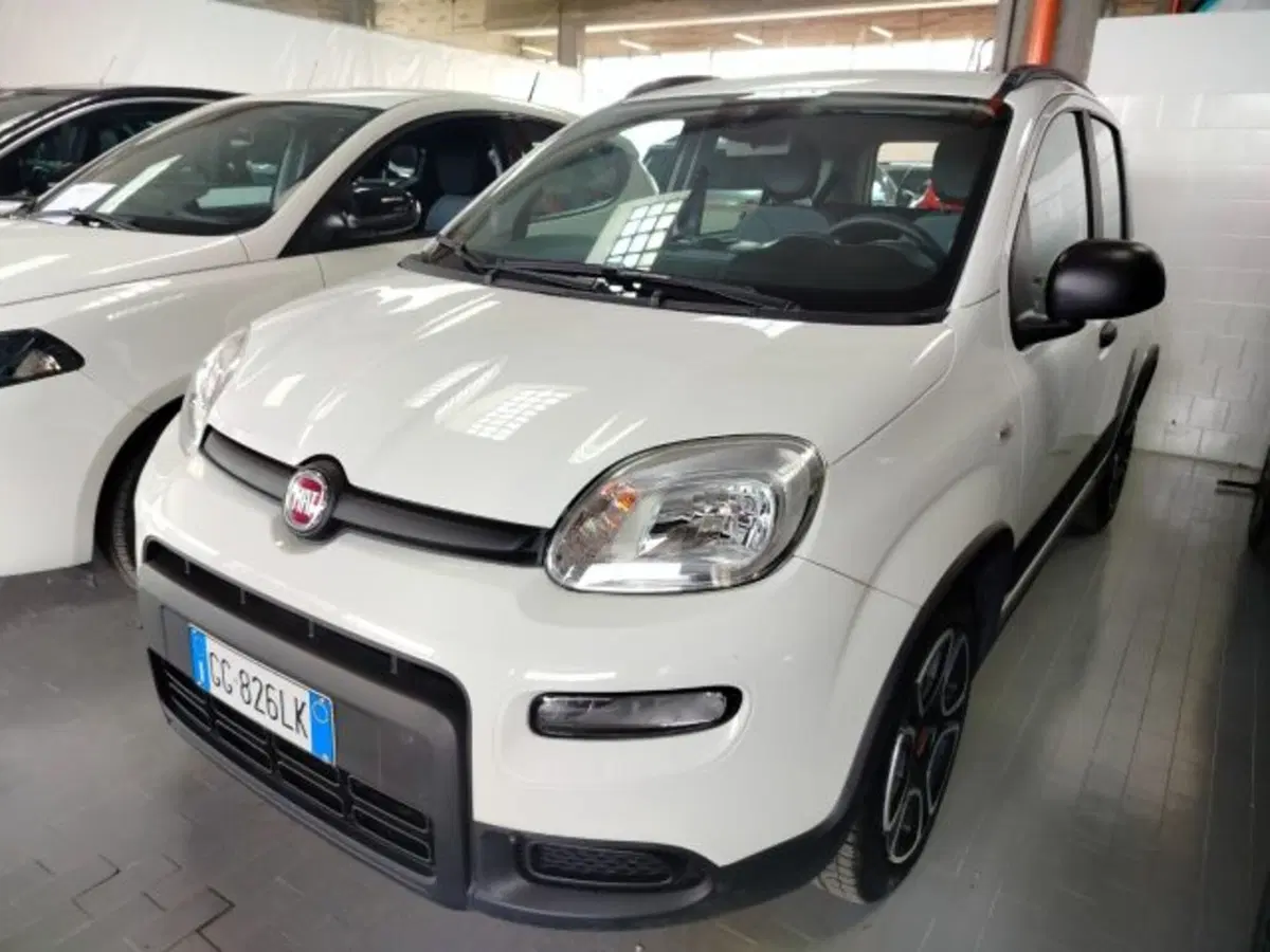 Fiat Panda Cross usata a Forlì-Cesena (3)