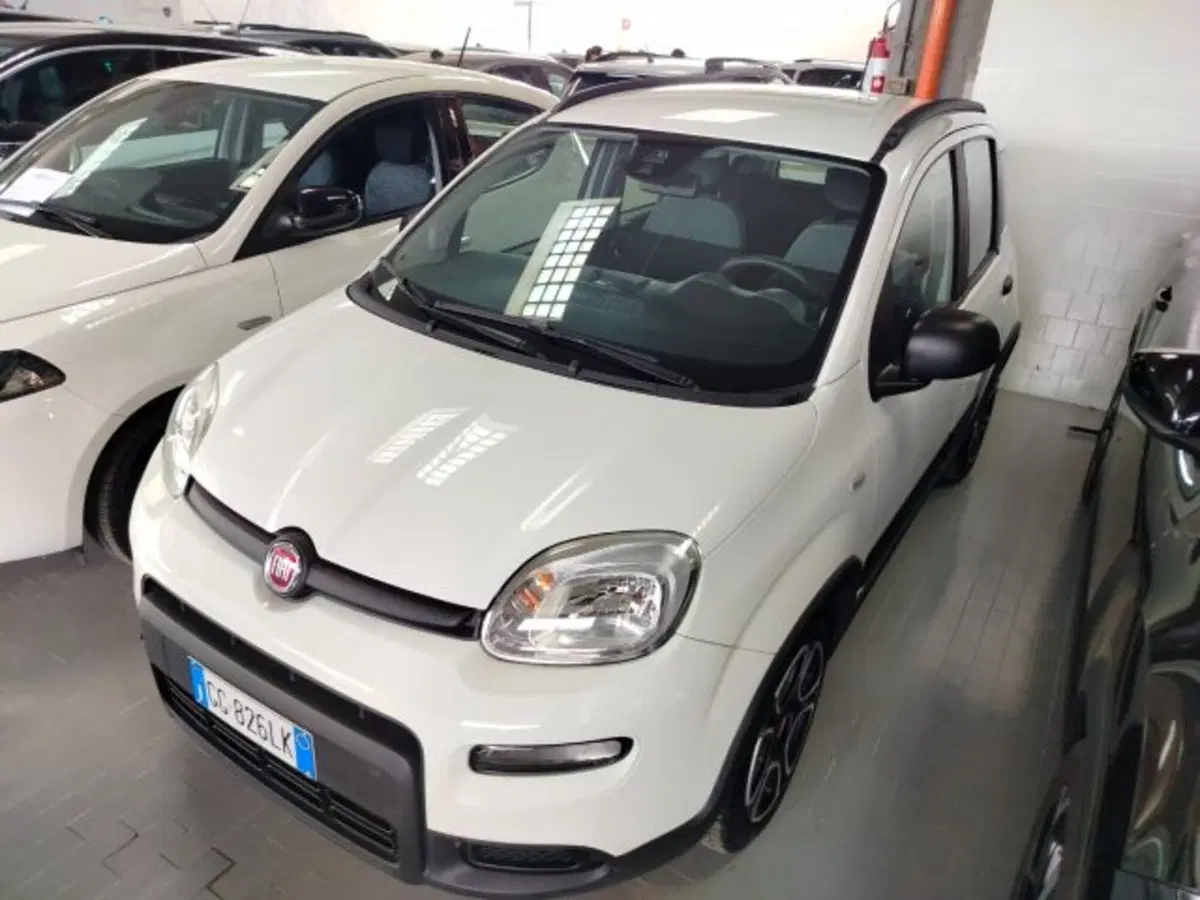 Fiat Panda Cross usata a Forlì-Cesena (4)