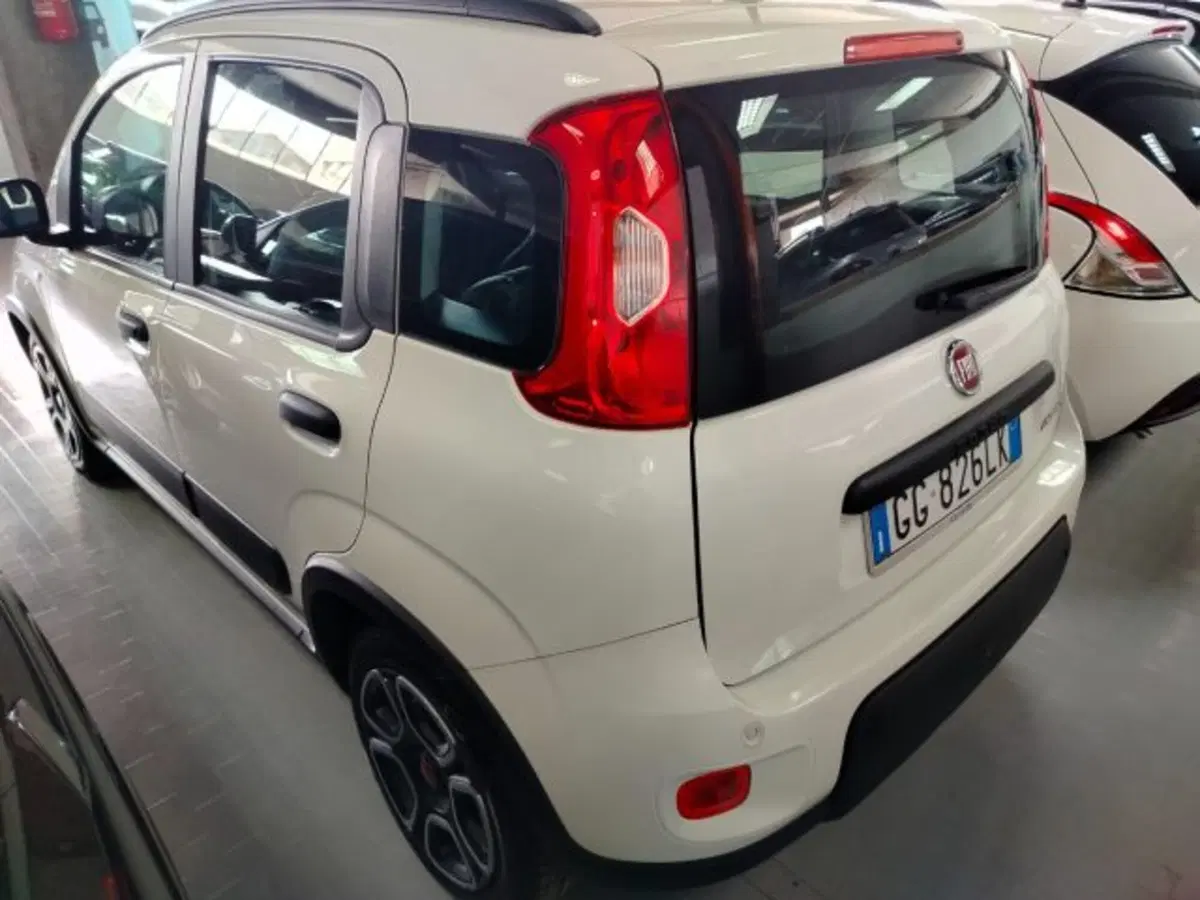 Fiat Panda Cross usata a Forlì-Cesena (5)