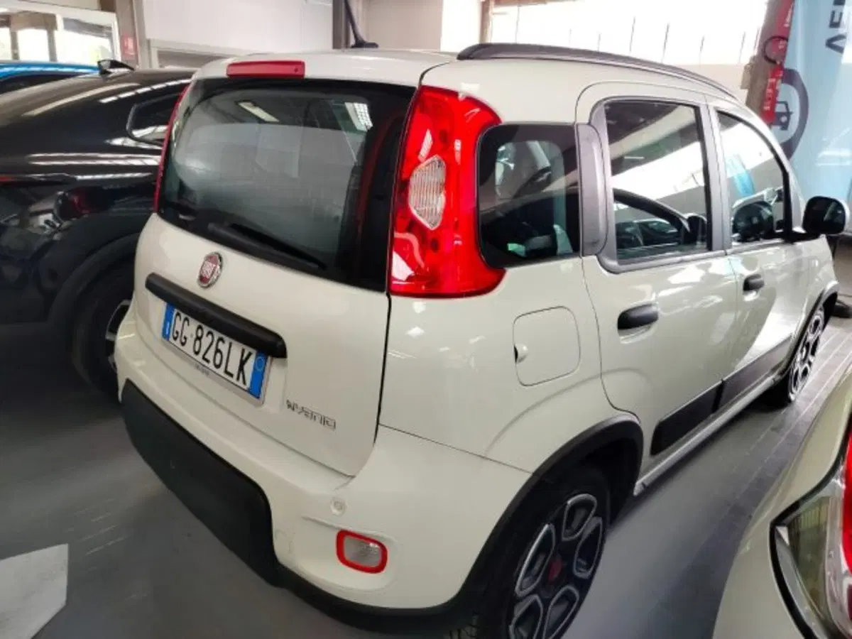 Fiat Panda Cross usata a Forlì-Cesena (6)