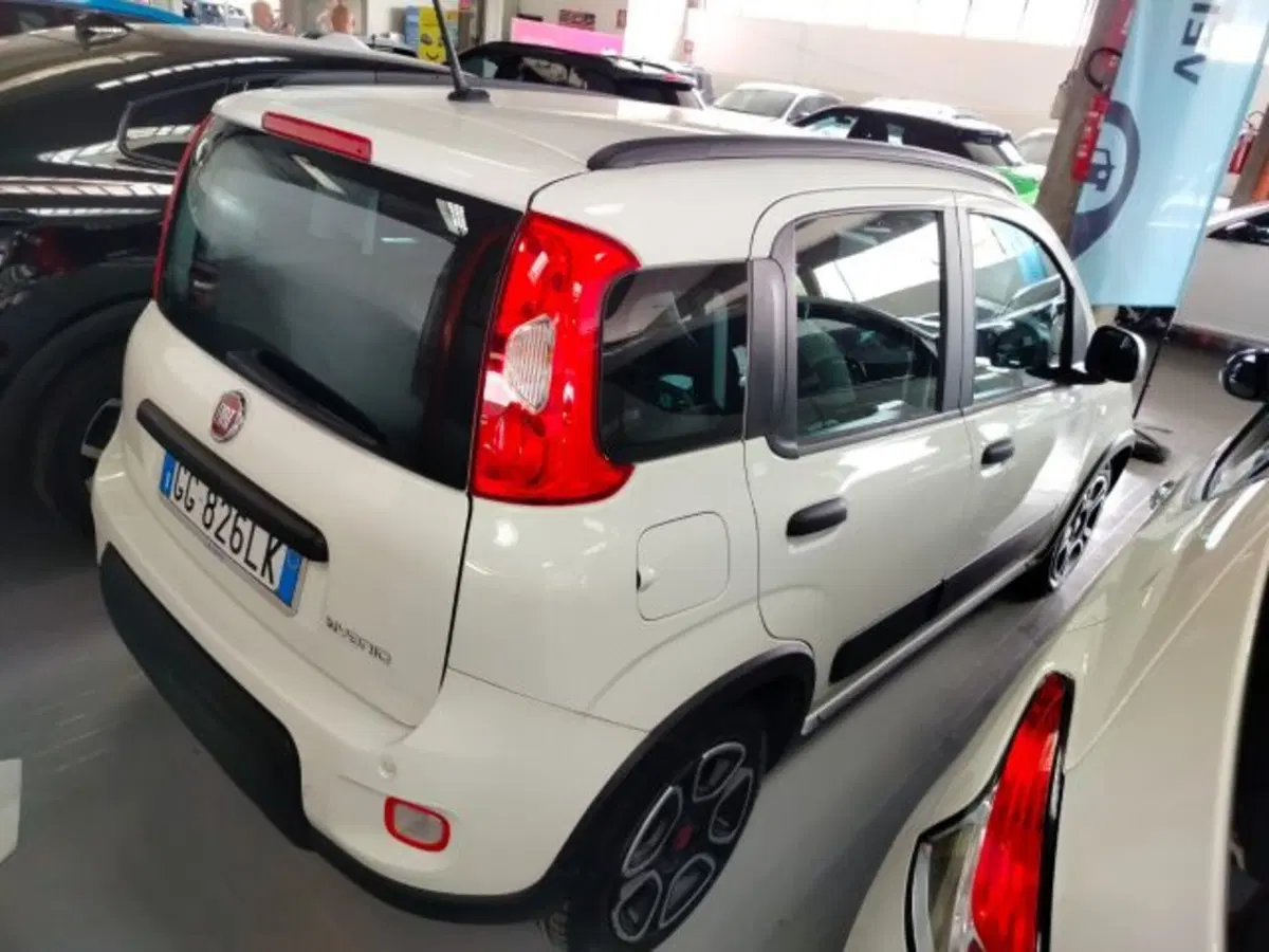Fiat Panda Cross usata a Forlì-Cesena (7)