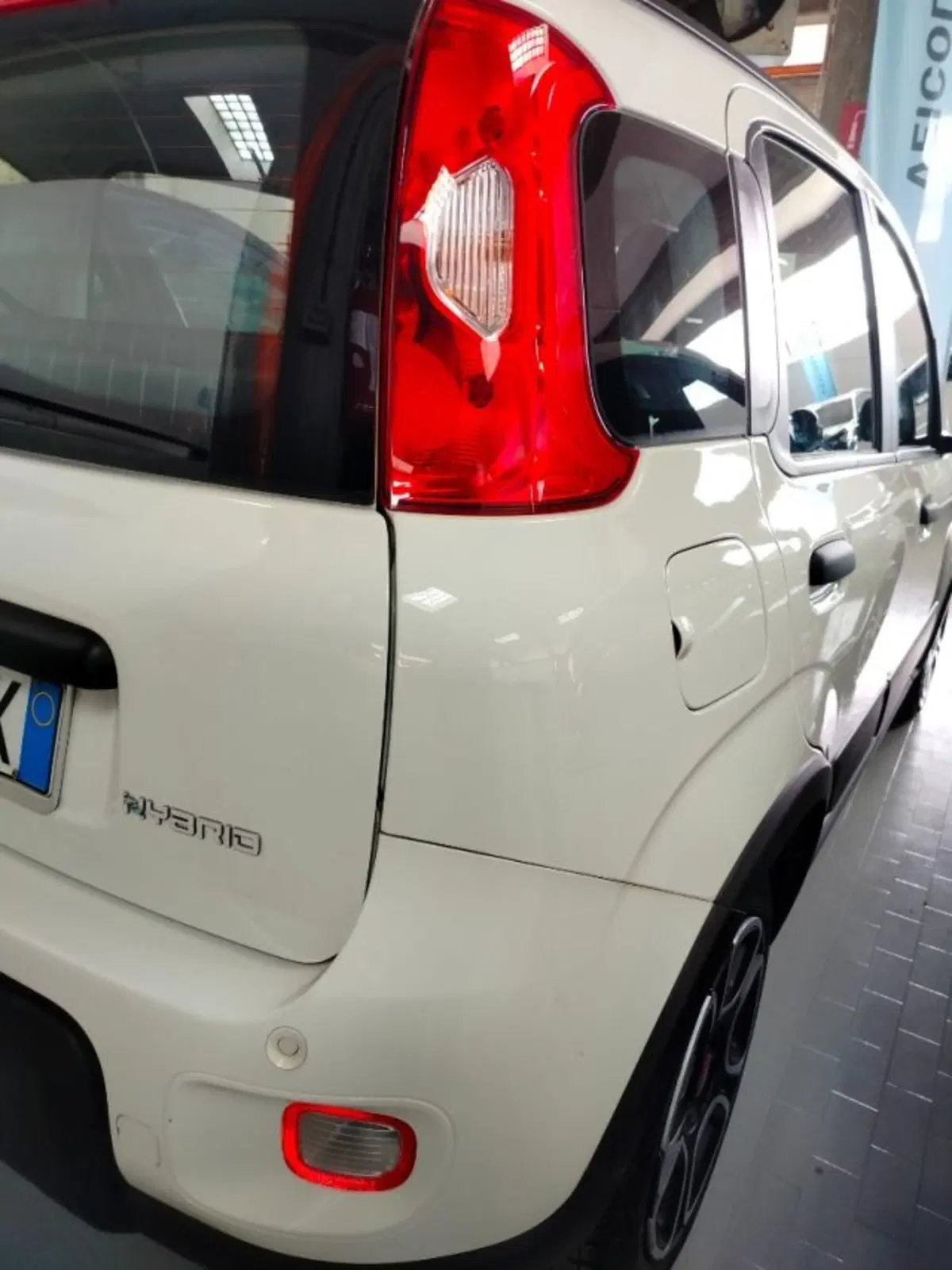 Fiat Panda Cross usata a Forlì-Cesena (8)