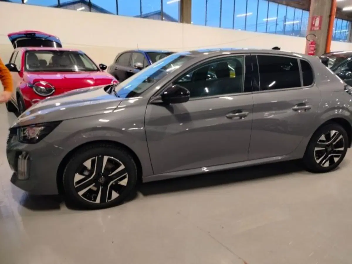 Peugeot 208 usata a Forlì-Cesena (9)
