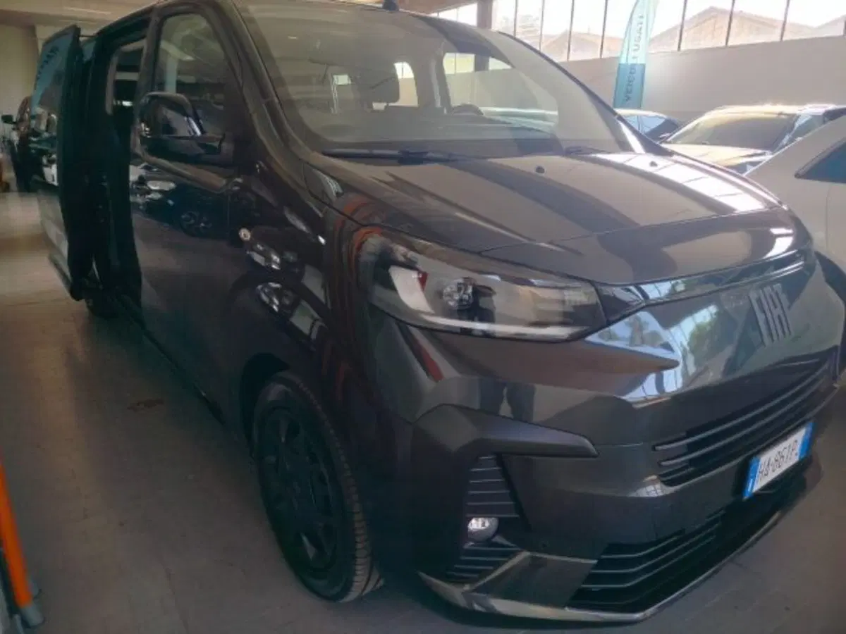 Fiat Ulysse usata a Forlì-Cesena (11)