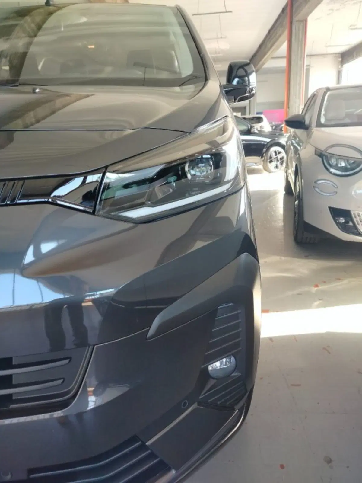 Fiat Ulysse usata a Forlì-Cesena (12)