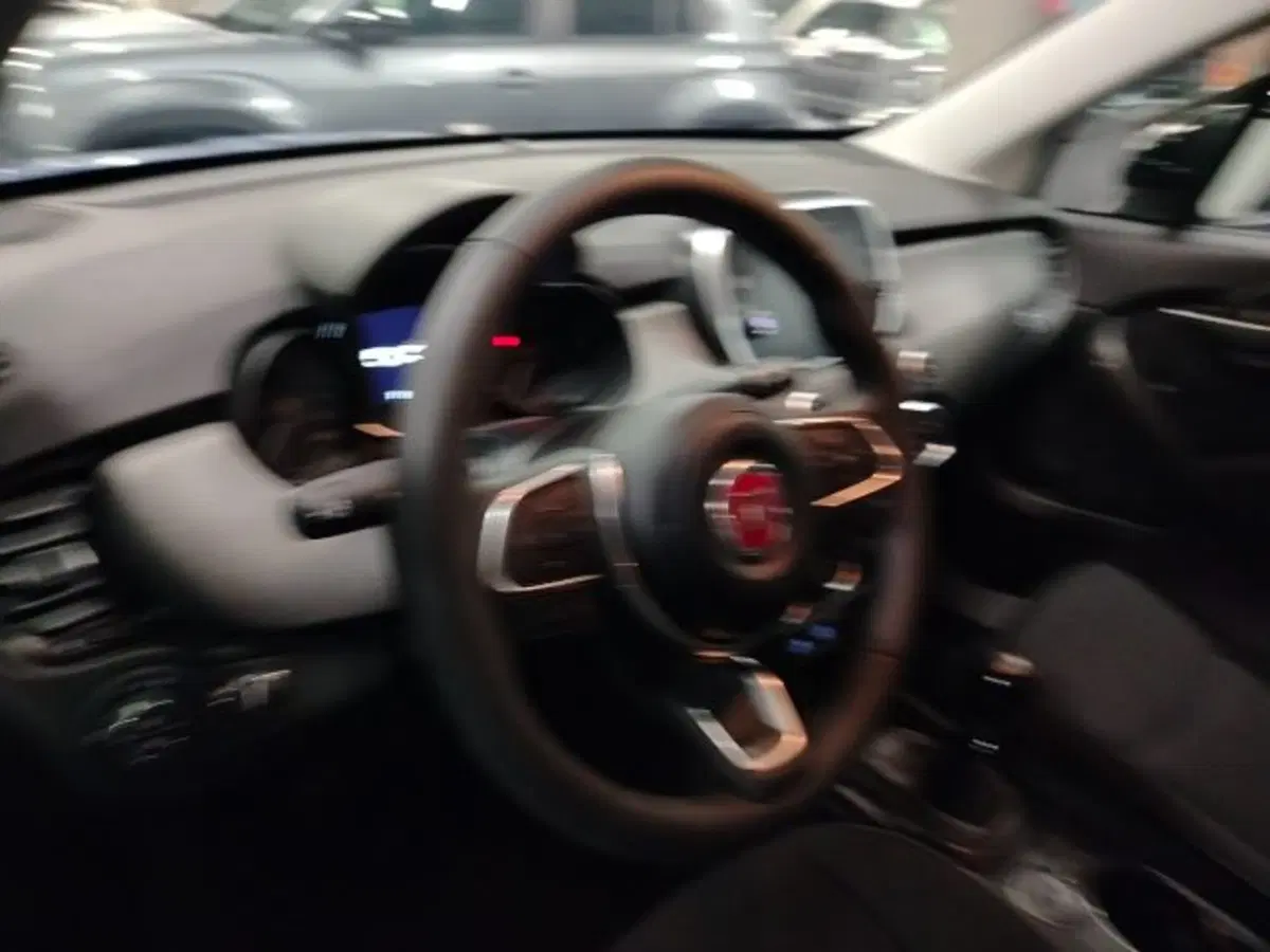 Fiat 500X usata a Forlì-Cesena (17)