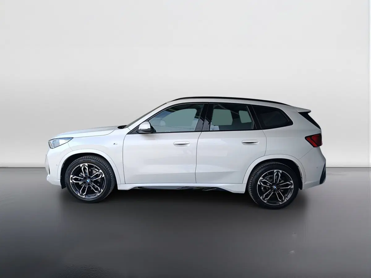 BMW X1 usata a Ascoli Piceno (6)