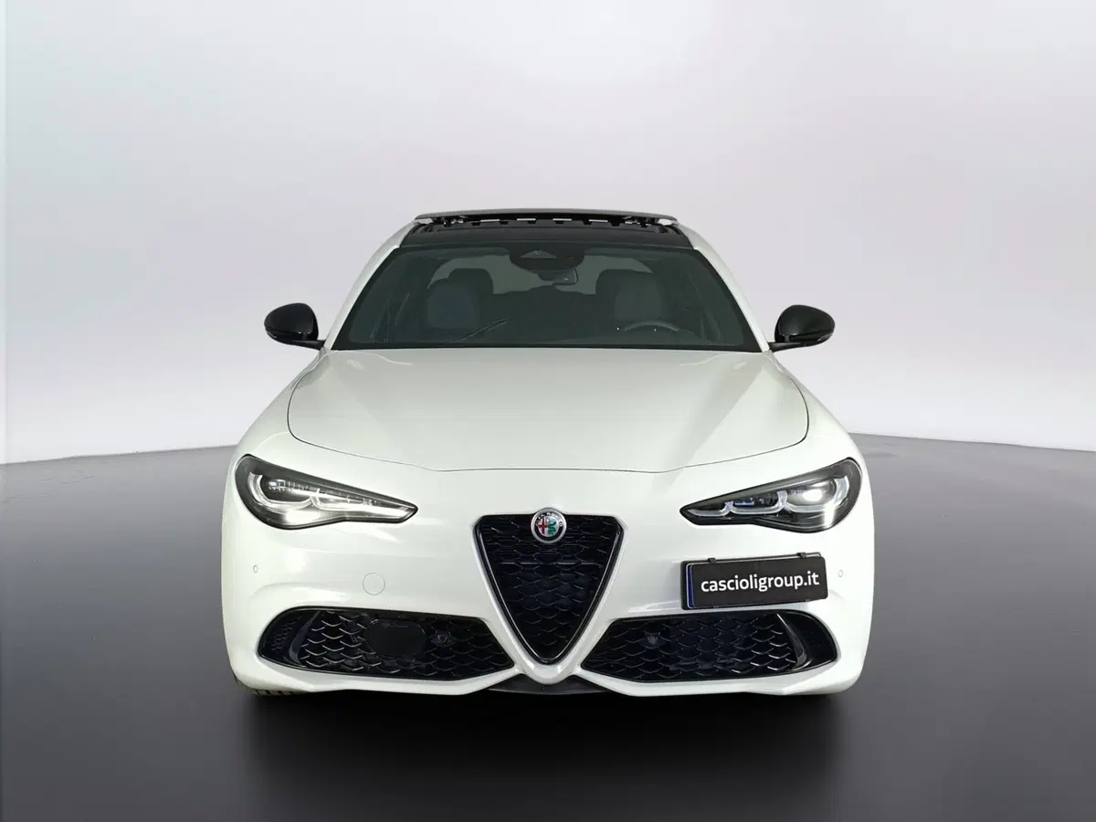 Alfa Romeo Giulia usata a Ascoli Piceno (2)