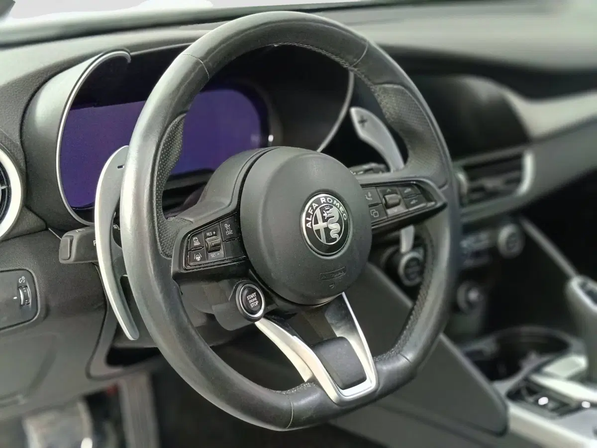 Alfa Romeo Giulia usata a Ascoli Piceno (20)