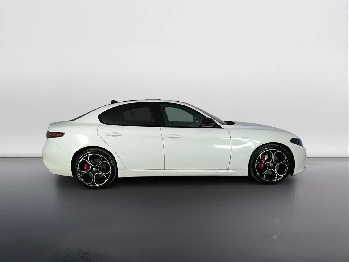 Alfa Romeo Giulia usata a Ascoli Piceno (3)