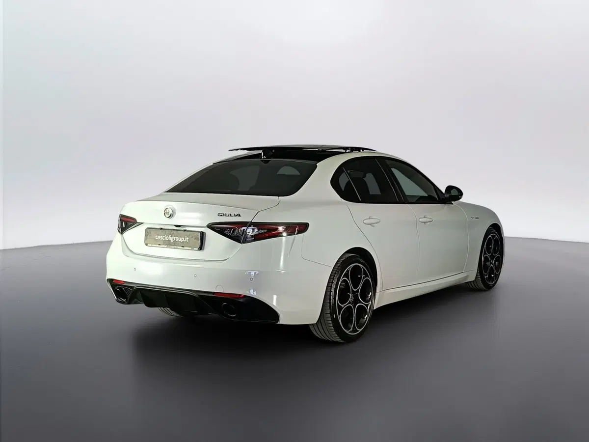Alfa Romeo Giulia usata a Ascoli Piceno (4)