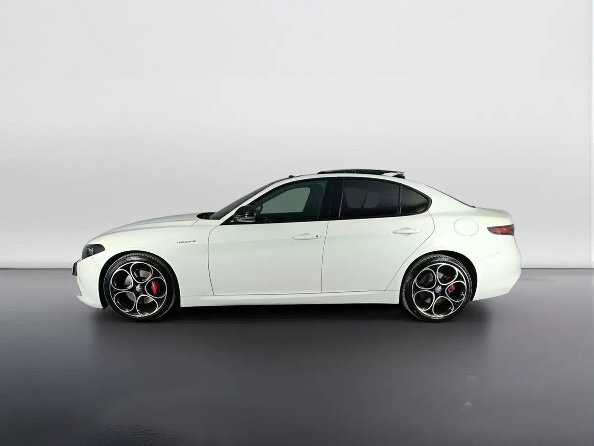 Alfa Romeo Giulia usata a Ascoli Piceno (6)