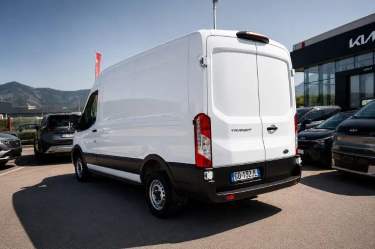 Ford Transit Furgone usata a Latina (5)