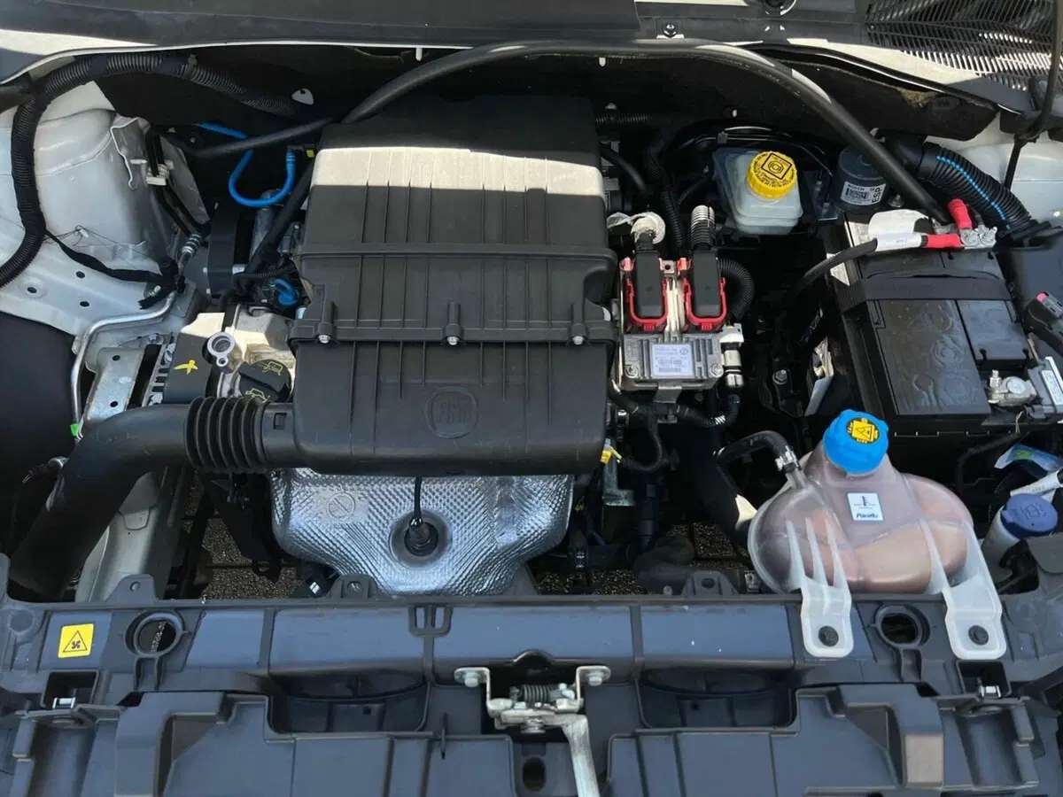 Fiat Punto Evo usata a Sondrio (15)
