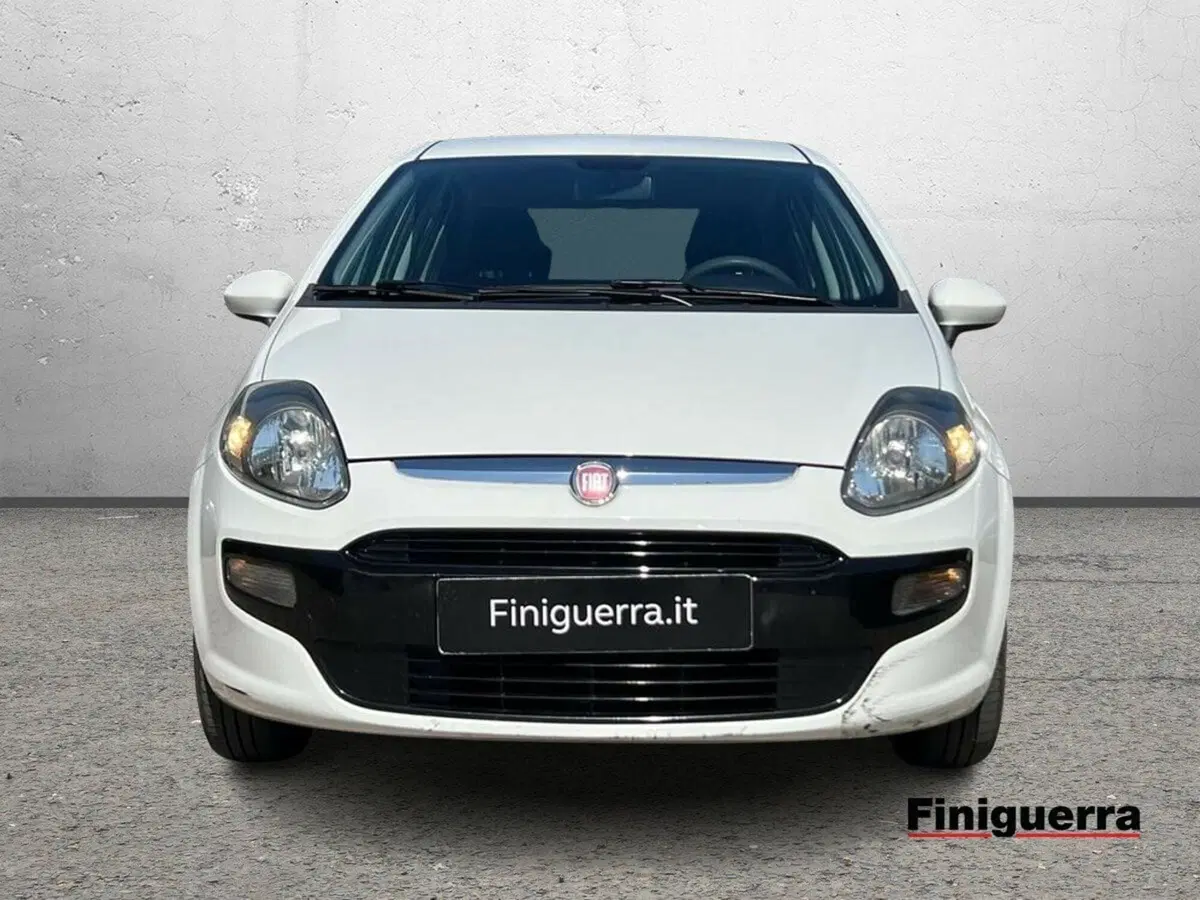 Fiat Punto Evo usata a Sondrio (2)