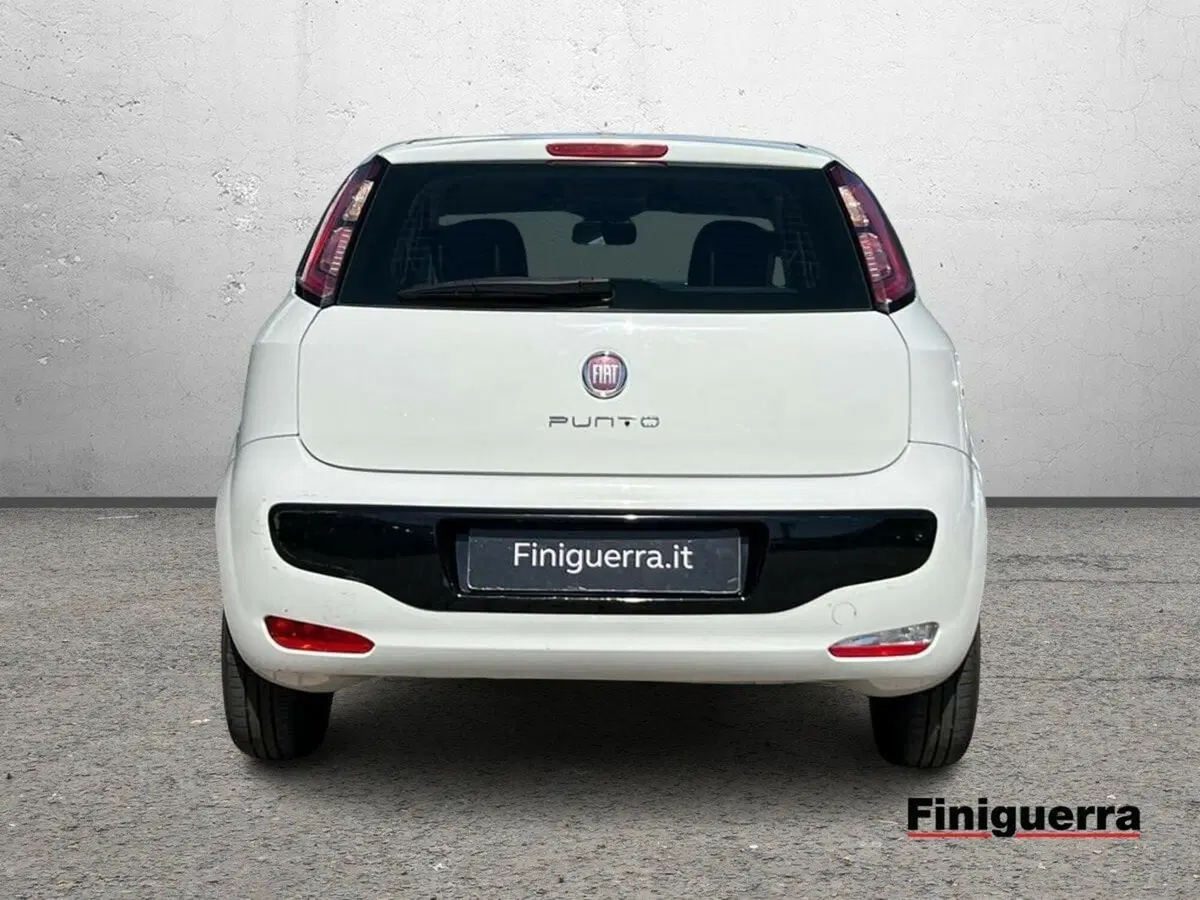 Fiat Punto Evo usata a Sondrio (3)