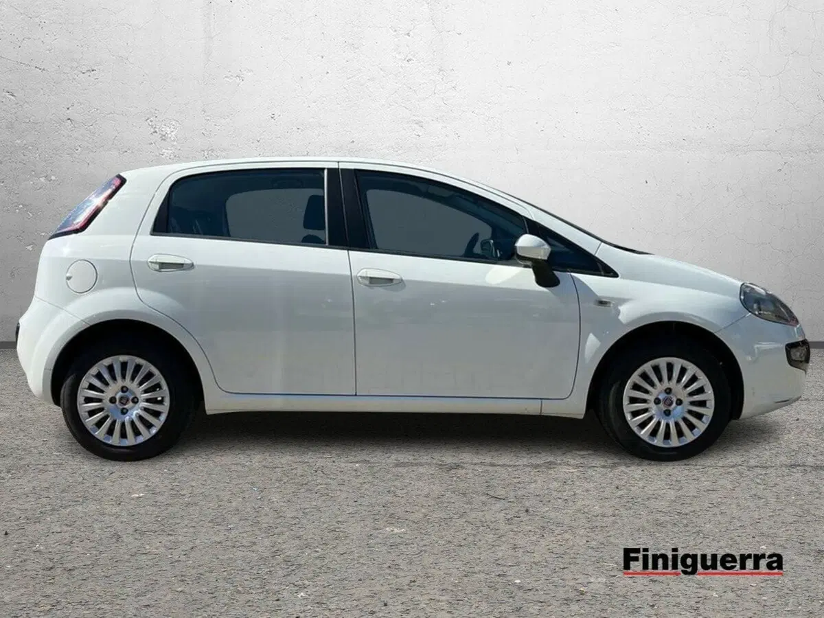 Fiat Punto Evo usata a Sondrio (5)