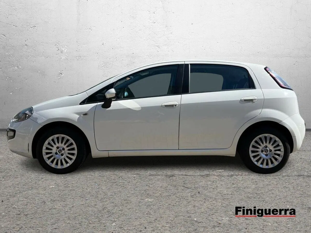 Fiat Punto Evo usata a Sondrio (6)