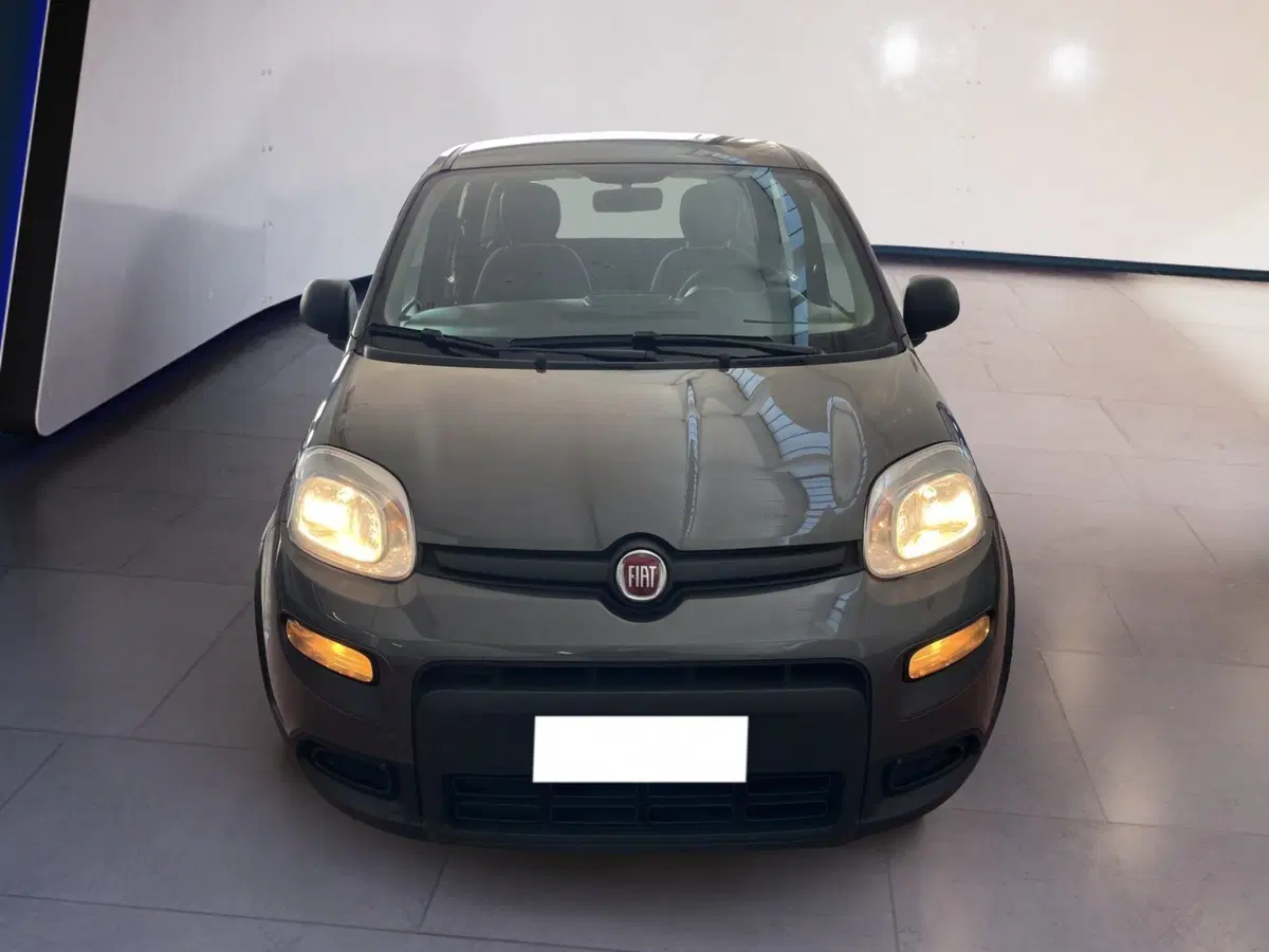 Fiat Panda usata a Torino