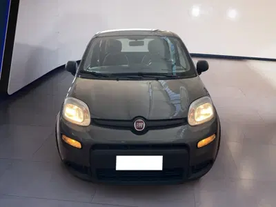 Fiat Panda 1.0 FireFly S&amp;S Hybrid Easy del 2023 usata a Torino