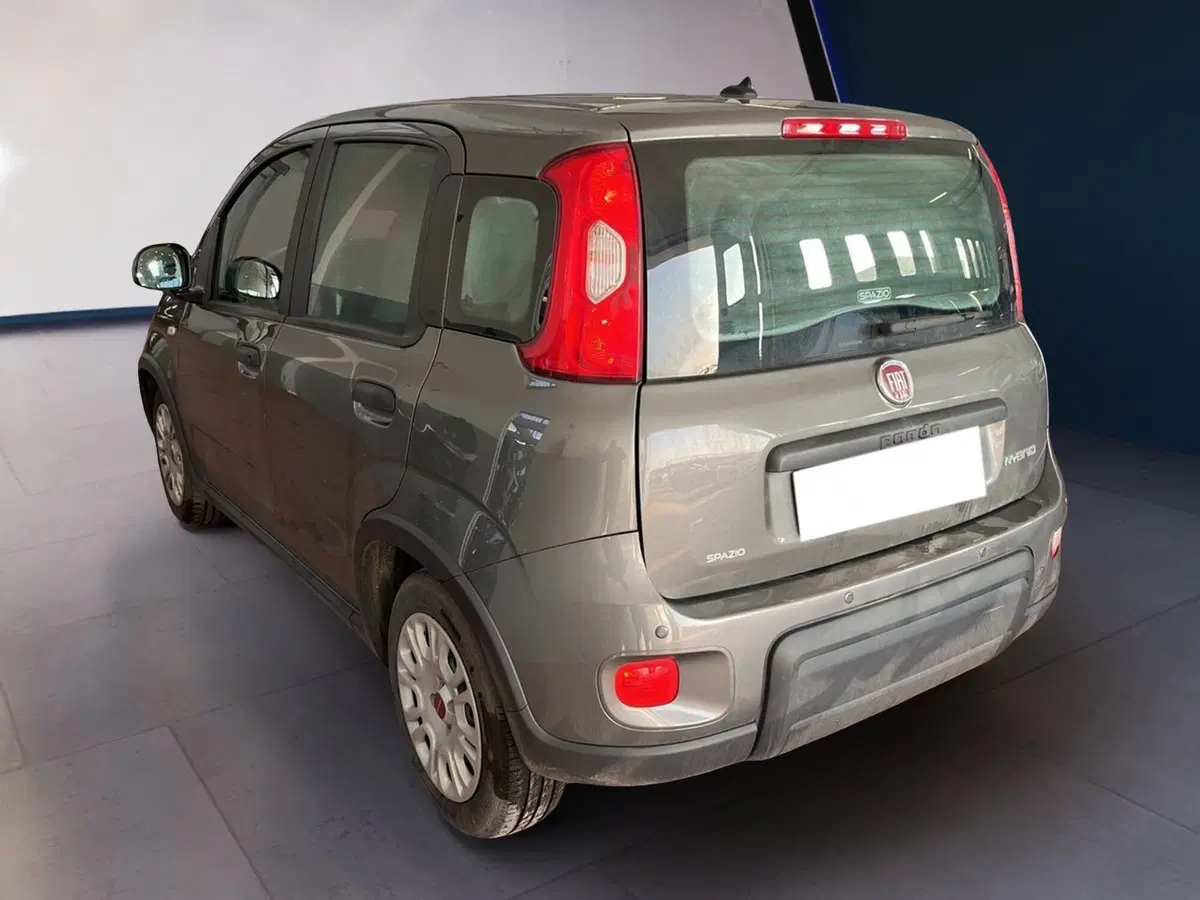 Fiat Panda usata a Torino (4)